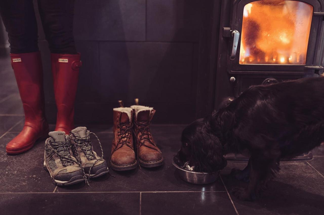Longlands Inn&Cottages Carnforth Exteriör bild A dog in front of a wood burning stove
